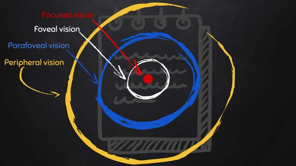 Types of peripheral vision